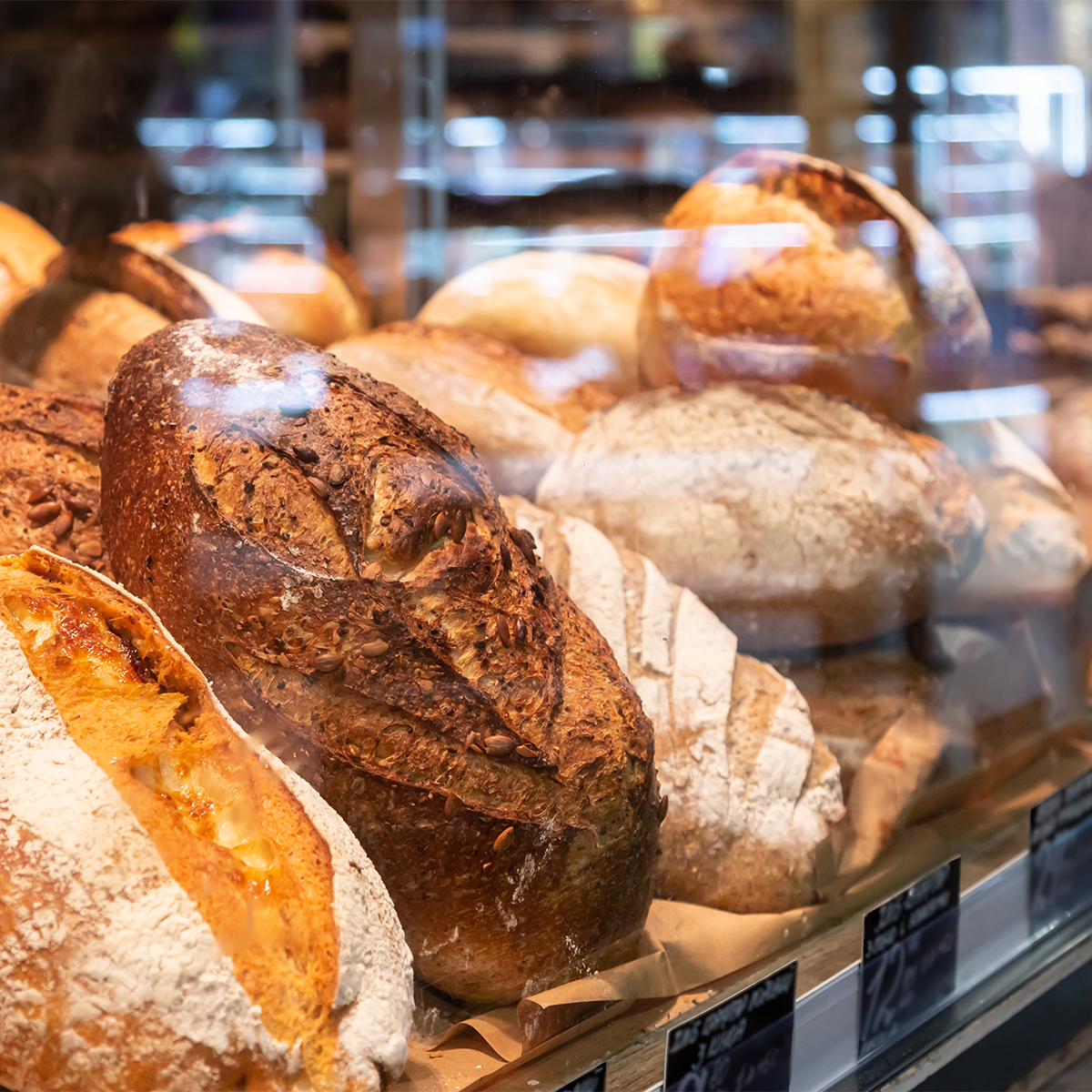 Assortment of freshly baked bread